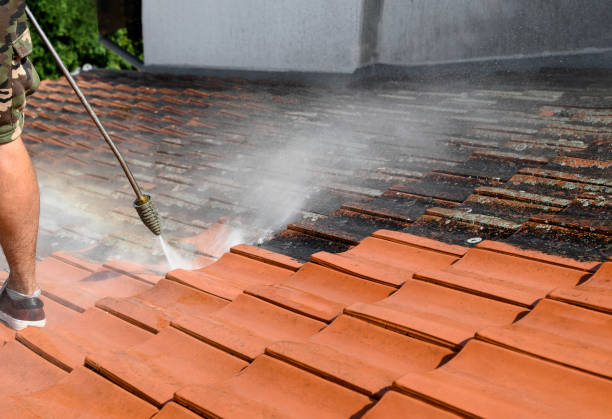 Best Sidewalk Pressure Washing  in Mercer Island, WA
